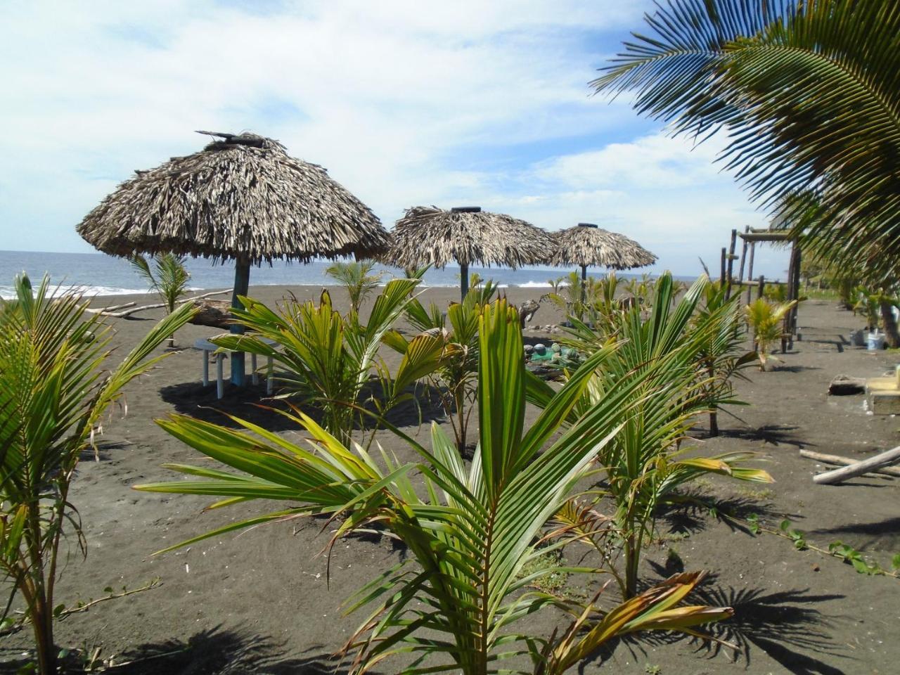 Marbella Eco Lodge Monterrico Extérieur photo